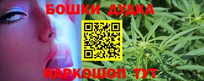 ешки Новодвинск